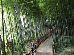景点-宝岩生态观光园