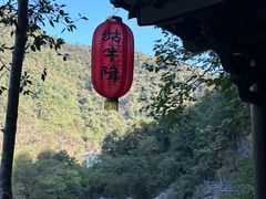 -石台牯牛降景区