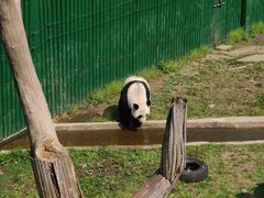 -沈阳森林动物园