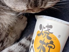 香椰烤栗子奶茶-烧柠·柠檬茶(大融城店)