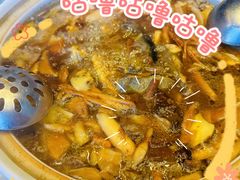 -爱膳菌锅锅(阳南店)