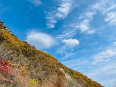 -大连天门山国家森林公园