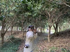 -宁波五龙潭景区