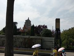 景点-大雁塔北广场音乐喷泉