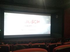 -万达影城(锦华万达广场IMAX店)