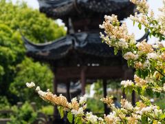 -韩湘水博园
