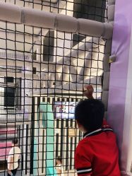 -meland club亲子乐园(重庆万象城店)