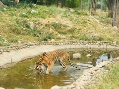 -西安秦岭野生动物园