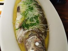 -金枝玉叶上海人家食府(三里河店)