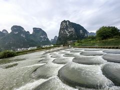-明仕田园