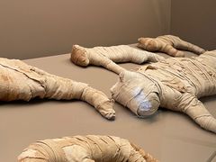 -上海博物馆(人民广场馆)