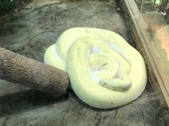 -上海大自然野生昆虫馆(东方明珠·爬宠昆虫探索中心)