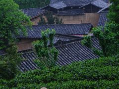 -杨家堂村