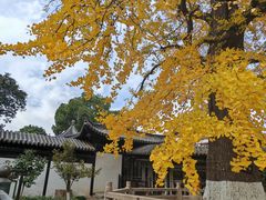 -常熟方塔园