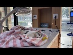 -联合动物医院(光谷诊疗中心)