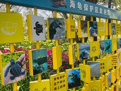 -广东惠东海龟国家级自然保护区