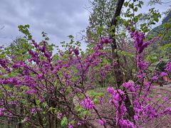 -天台山赤城山景区