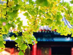 -大钟寺古钟博物馆