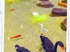 -首创奥特莱斯(北京店)