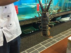 -海大大蒸汽海鲜餐厅·粤菜·特色小炒(欢乐颂店)