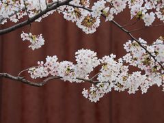 -龙美术馆(西岸馆)