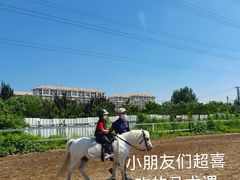 -金鼎实验幼儿园(和平里中街)