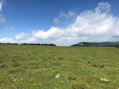 -芦芽山旅游度假区