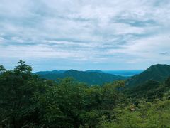 -大岭沟猕猴桃谷风景区
