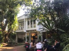 -Fern Forest Cafe
