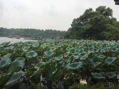 -湖畔居茶楼(湖滨店)