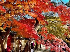 -青岛崂山太清宫
