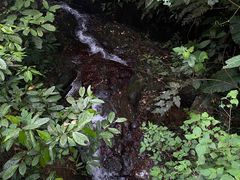 -阳台山森林公园