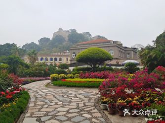 不知不觉春天已经来啦！万物复苏，鼓浪屿是一个四季常青