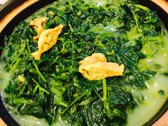 -长顺河豚馆(江洲东路)