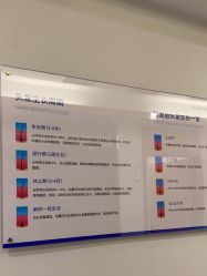 -碧莲盛·不剃发植发