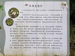 -天鹿湖森林公园