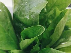-犇鼎牛潮汕牛肉火锅(新辰里学清路店)