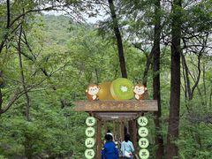 -大岭沟猕猴桃谷风景区
