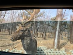 -秦皇岛野生动物园