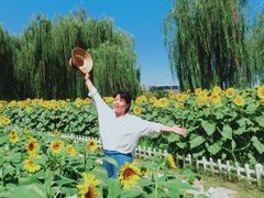 -廊坊文化艺术中心