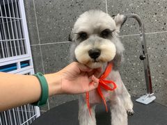 -宠物家(大兴旧宫店)