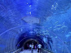 -西安华夏文旅水世界
