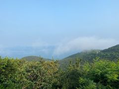 -怪坡茶馆