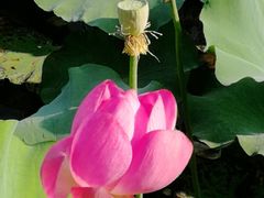 -上海市保健医疗中心(华东疗养院)