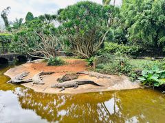 -海南热带野生动植物园