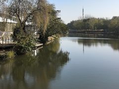 -溱湖国家湿地公园