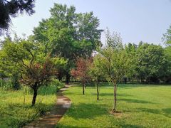 -河南省黄河迎宾馆