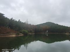 -四明山国家森林公园