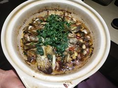 -蔼若春.传承三十年云南菜(金碧公园店)