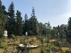 -深圳仙湖植物园